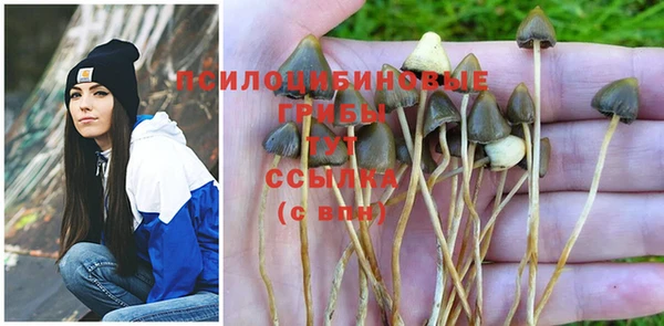 MDMA Premium VHQ Зеленокумск
