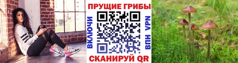 Галлюциногенные грибы ЛСД  ОМГ ОМГ рабочий сайт  Назрань 